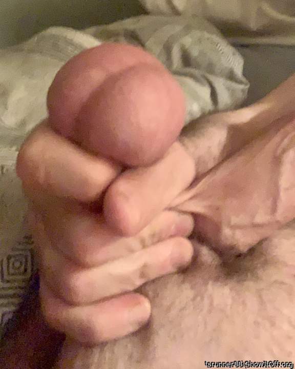 Photo of a weasel from tsrunner88