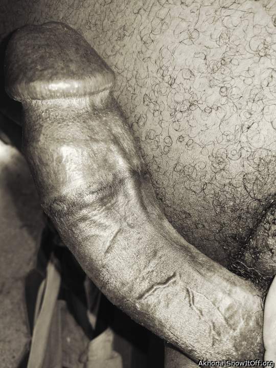 Photo of a hot dog from Saddam