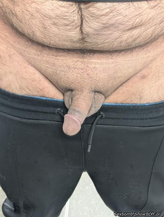 Photo of a cavalier from Sexbomb