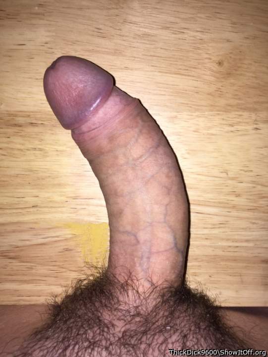 Worship my cock