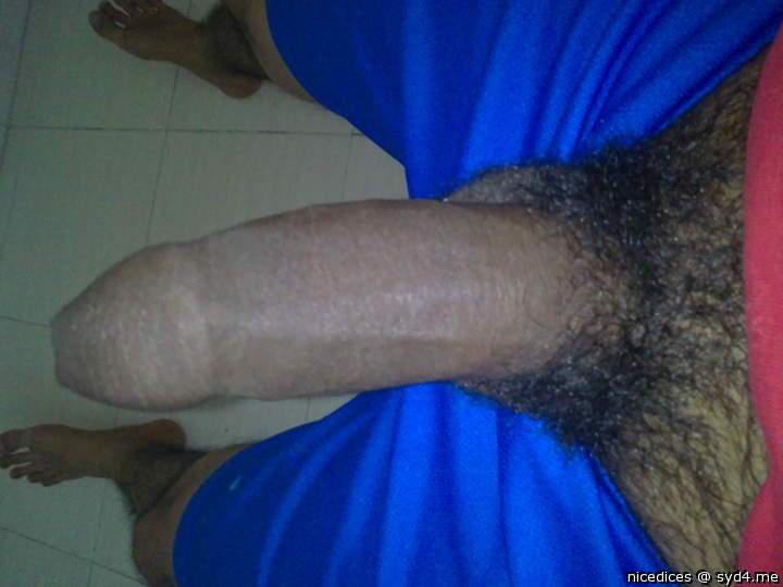 Photo of a third leg from nicedices
