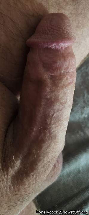 Photo of a middle leg from Lonelycock