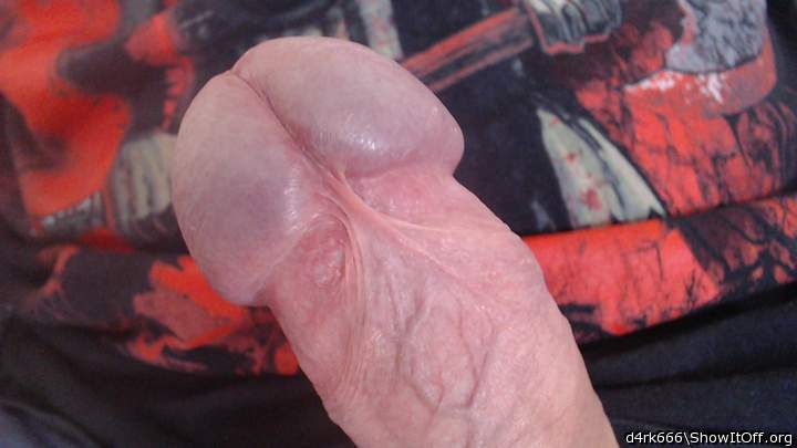 Beautiful cockhead  