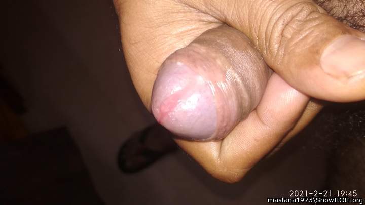 Photo of a dong from mastana1973