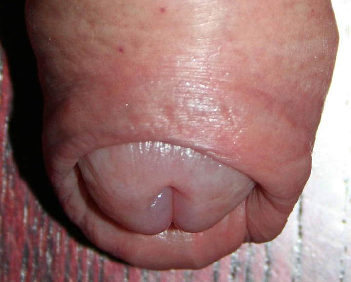 Adult image from nylonlover