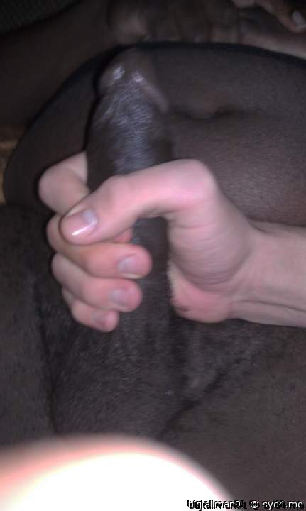 Photo of a weasel from bigtallman91