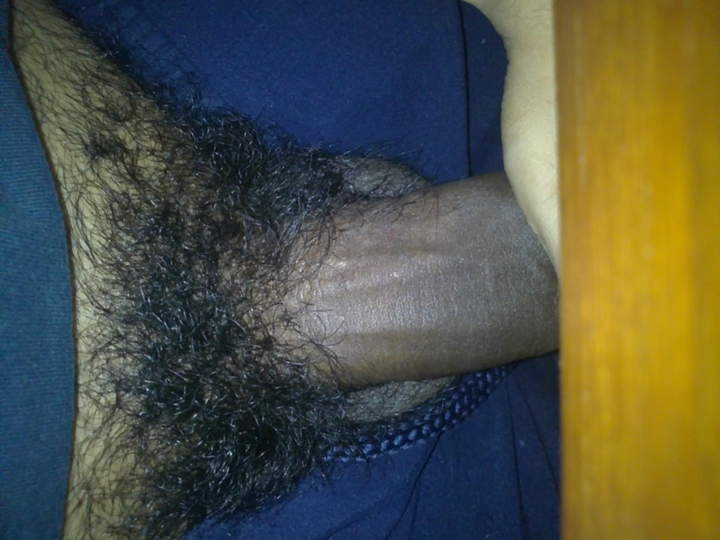 Beautiful bush.