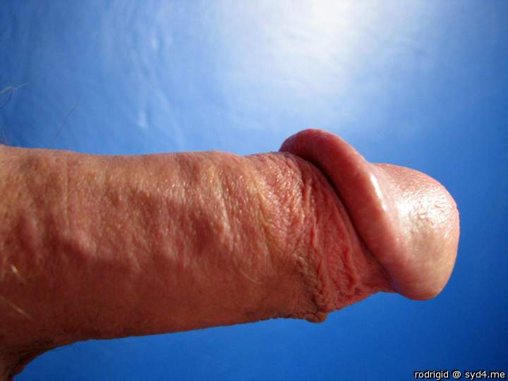 Photo of a dong from rodrigid