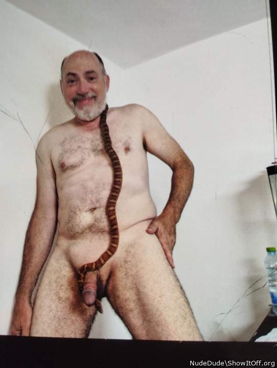 Corn snake found a comfortable perch!