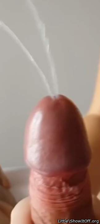 Photo of a wiener from Little
