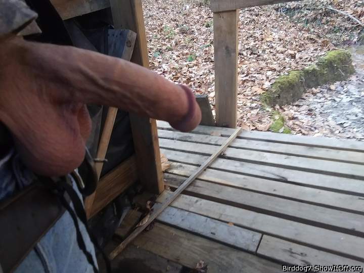 Photo of a equipment from Birddog7