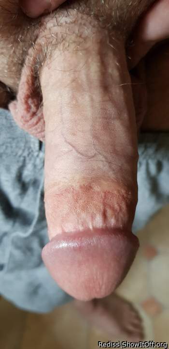 Beautiful Cock!