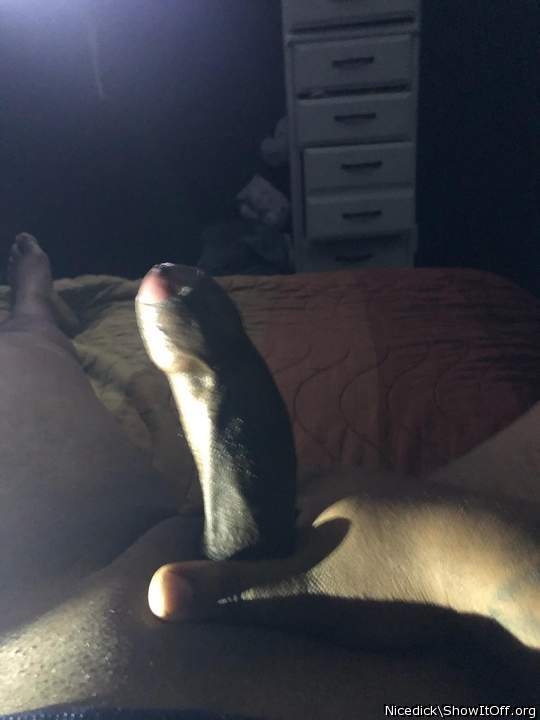 Photo of a snake from Nicedick