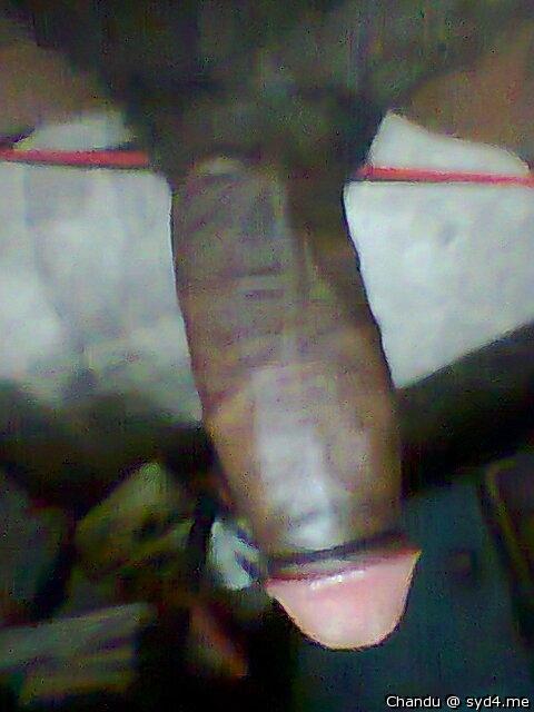 Photo of a dick from Chandu