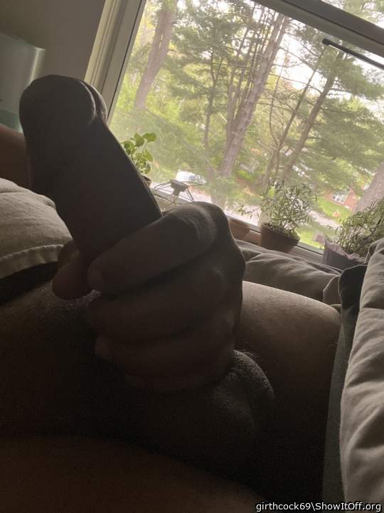 Photo of a python from girthcock69