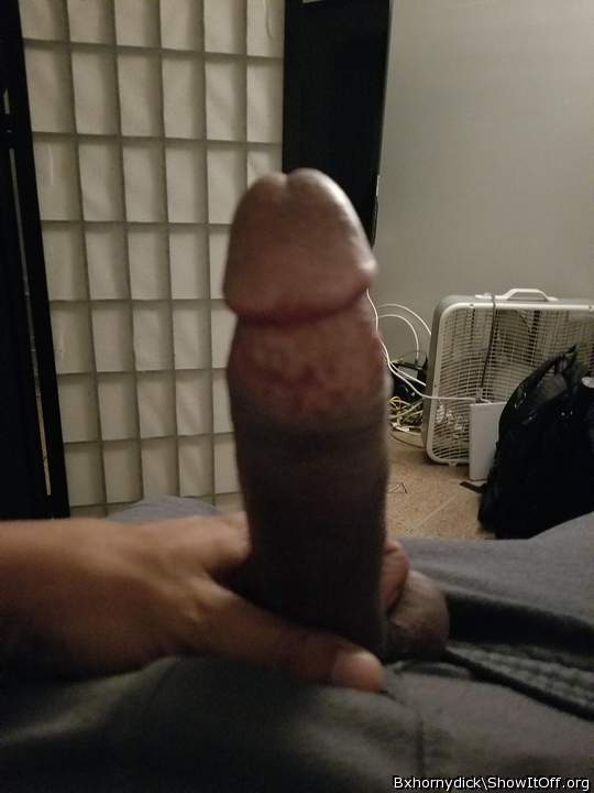 Photo of a weasel from Hornydick