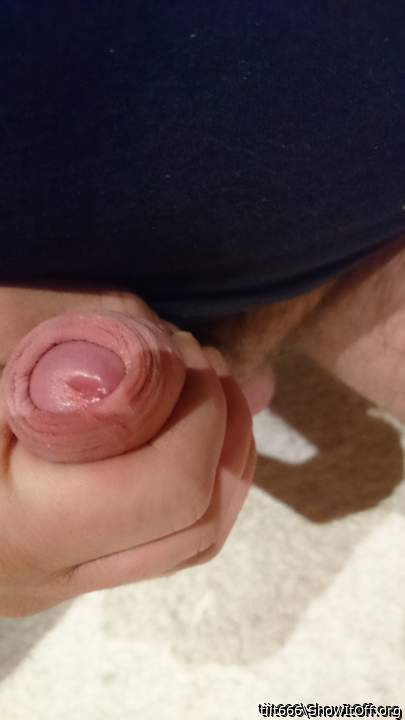 Photo of a middle leg from tiit666