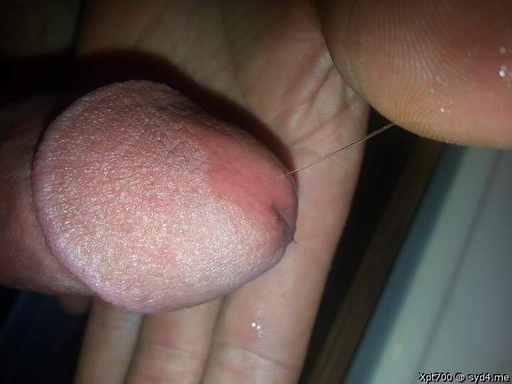 Photo of a thing from Drippythemushroom