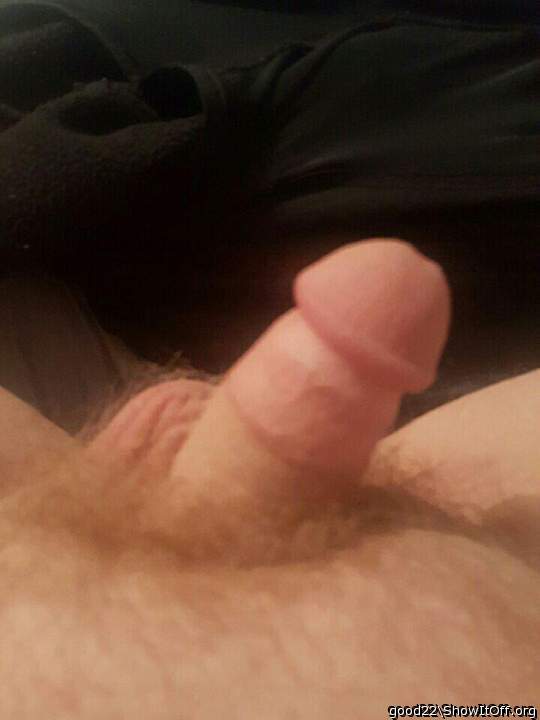 Photo of a middle leg from good22