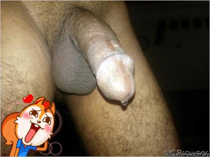 Photo of a cock from Rizwan