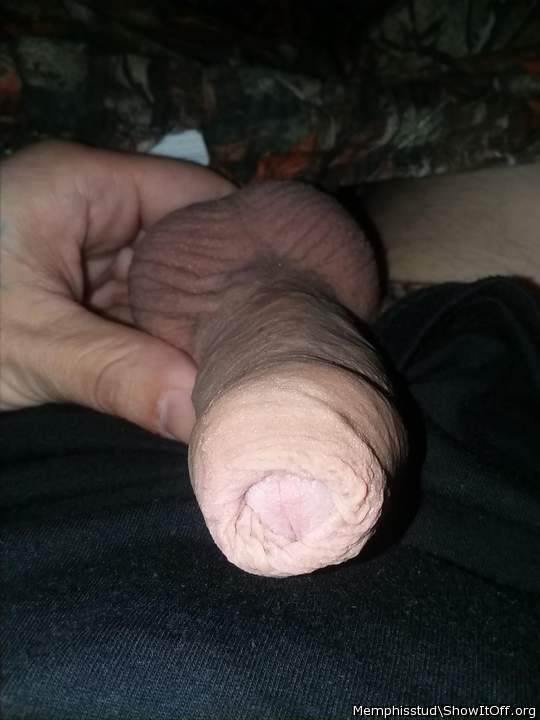 Photo of a horn from memphisstud