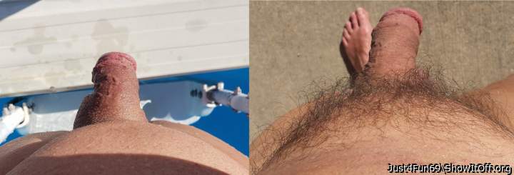 Shaved and Hairy Softies