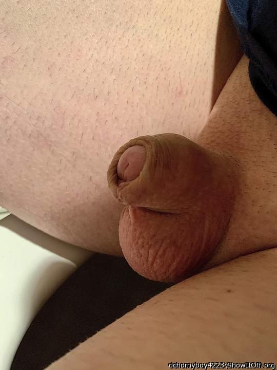 Photo of a prick from dchornyboy4223