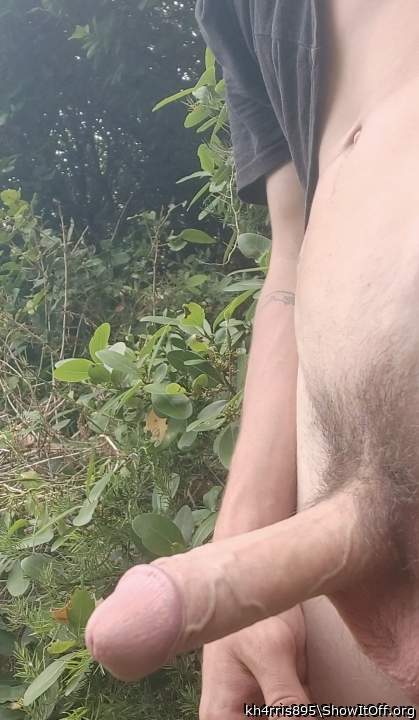 Photo of a python from kh4rris895