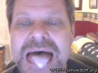 Adult image from arctic11