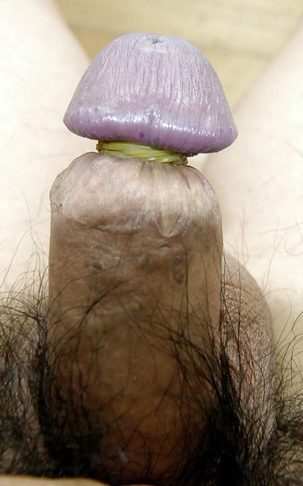 Photo of a dick from anonymous