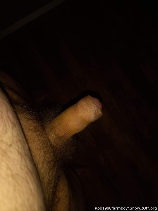 Photo of a snake from Rob1988farmboy