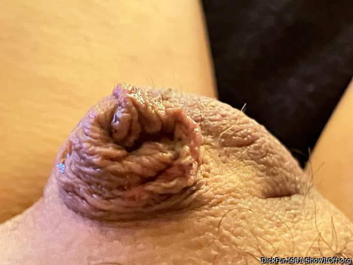 Photo of a cock from DickFun1981