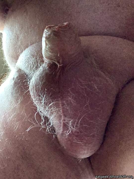 Photo of a phallus from satgeek