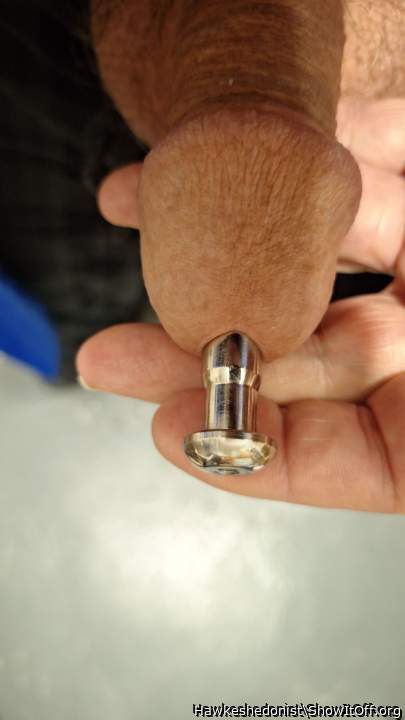 Photo of a snake from Hawkeshedonist