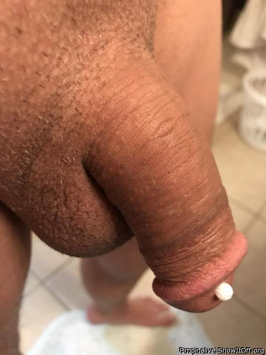 Photo of a drain pipe from Pimpinalive