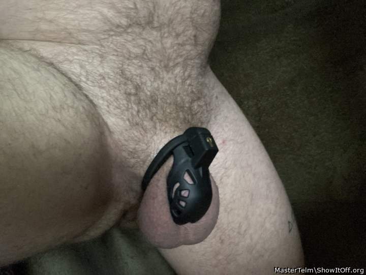 Adult image from MasterTelm