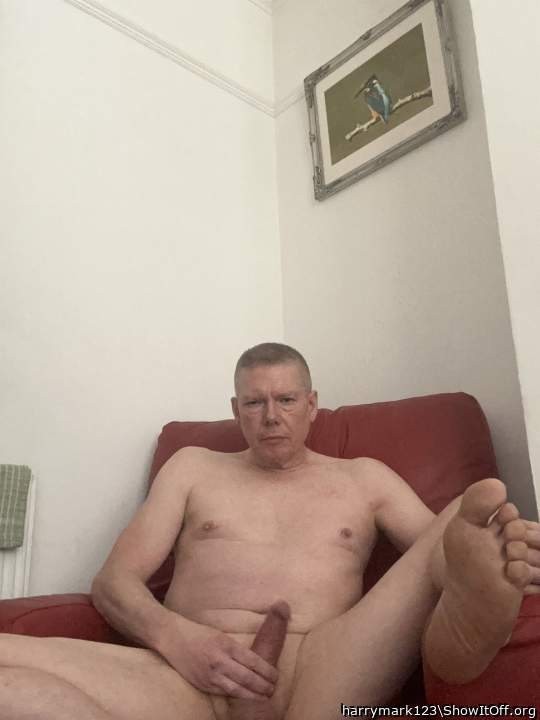 Photo of a schlong from harrymark123