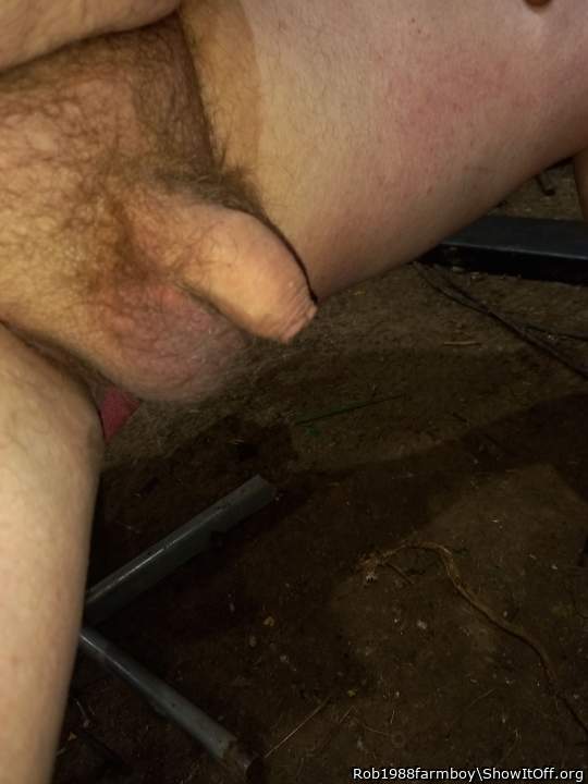 Photo of a pocket rocket from Rob1988farmboy