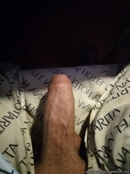 Photo of a bat from kamikazejay
