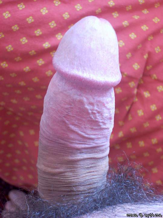my dick