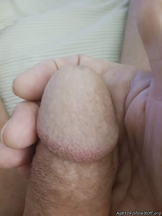 Photo of a pecker from Ag8324