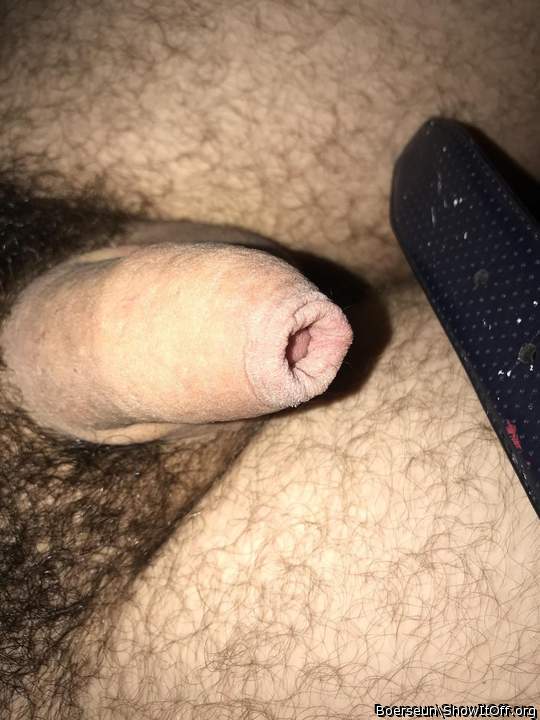 Photo of a purple headed monster from Boerseun