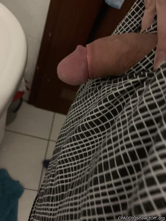 My circumcised Cock