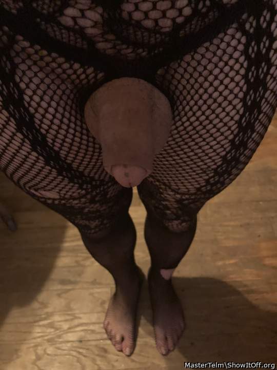 Photo of a ram rod from MasterTelm