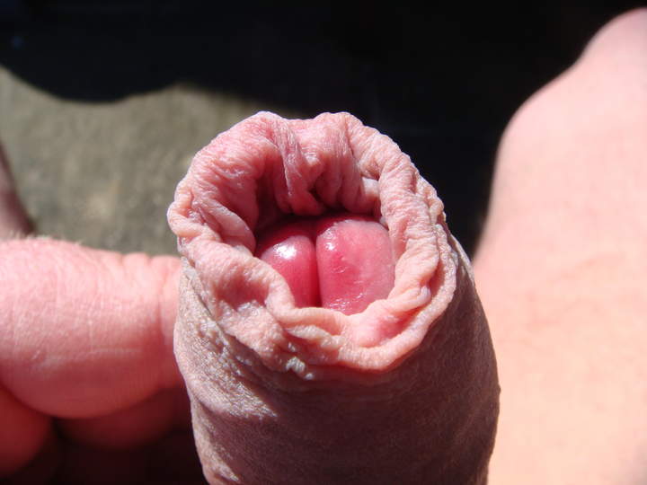Photo of a joystick from sivad666