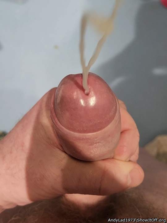 Photo of a prick from AndyLad1973