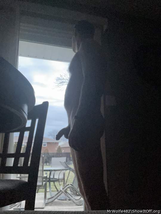 Time to let the dog out.