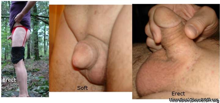 Micro penis flaccid and erect