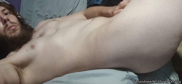 Photo of a rooster from Brandnew96