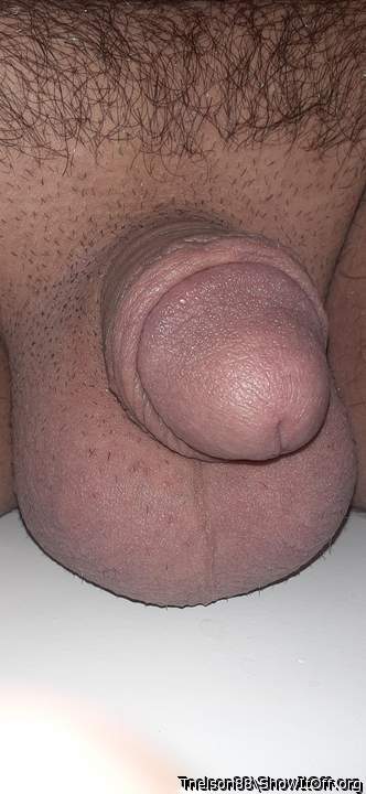 Photo of a drain pipe from Tnelson88